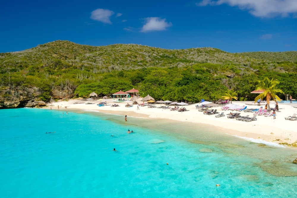 Grote Knip Curacao sh 2301379109, Winterzonbestemmingen