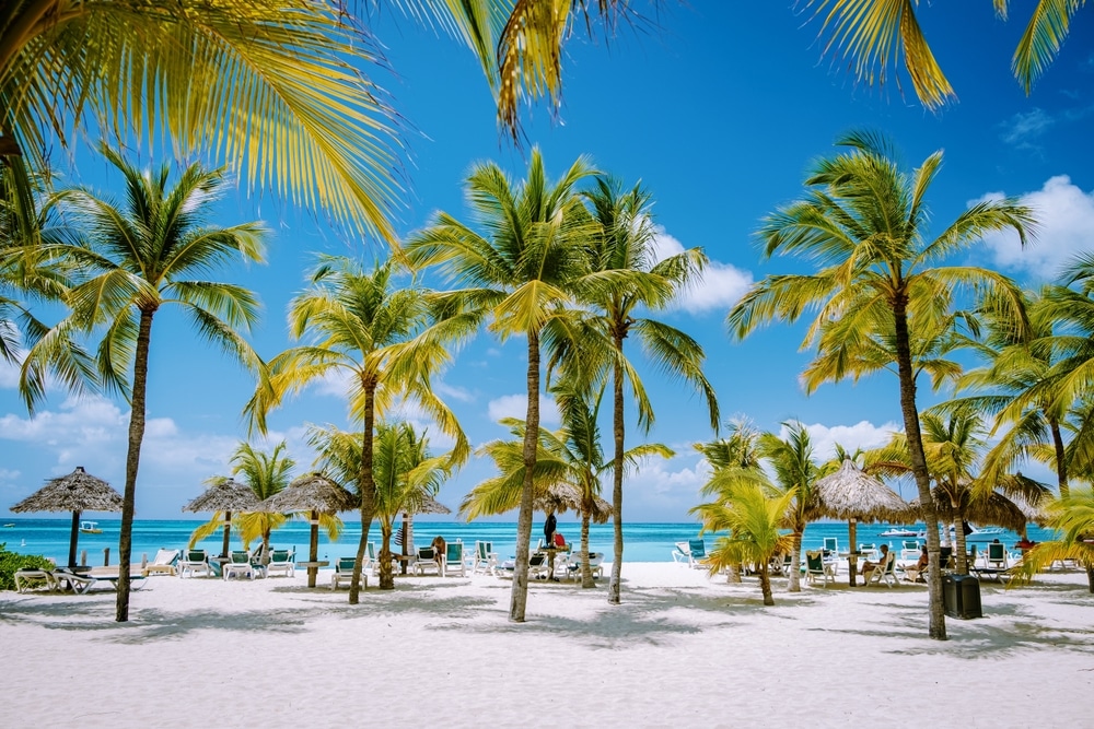 Palm Beach Aruba sh 2292829153, Winterzonbestemmingen